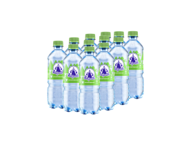 Вода «Сестрица» в бутылках 0,5 литра