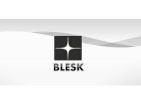 Ювелирная компания «BLESK»