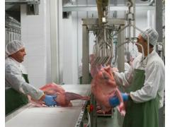 Стоимость экспорта мяса индейки за 1 полугодие 2021 увеличилась почти на 230% Стоимость экспорта мяса индейки за 1 полугодие 2021 увеличилась почти на 230%