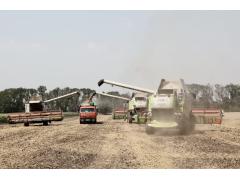 Сельхозпредприятия Краснодарского края собрали рекордный урожай зерна Сельхозпредприятия Краснодарского края собрали рекордный урожай зерна