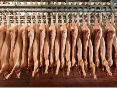 Экспорт мясной и молочной продукции составил $748 млн, на 25% выше, чем за тот же период 2020 года Экспорт мясной и молочной продукции составил $748 млн, на 25% выше, чем за тот же период 2020 года