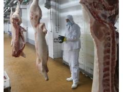 «Агроэко» запустила линию убоя на заводе по переработке мяса «Агроэко» запустила линию убоя на заводе по переработке мяса