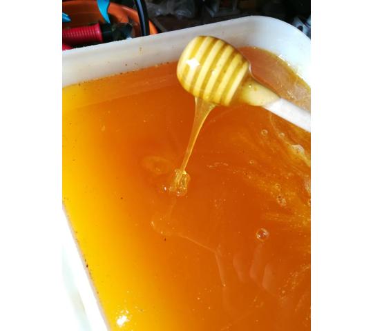 Фото 3 Мёд натуральный цветочный 350гр (стекло), г.Барнаул 2021