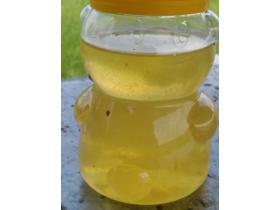 Мёд натуральный донниковый