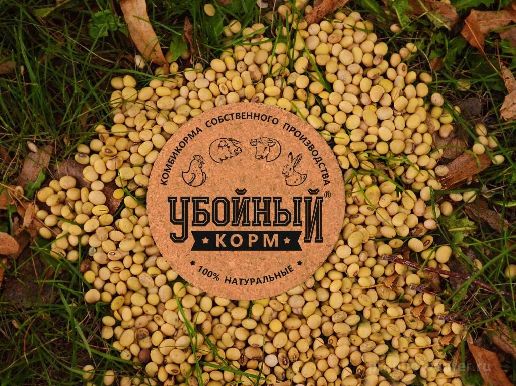 Бобы сои нового урожая 2023 года от производителя ООО УБОЙНЫЙ КОРМ ...