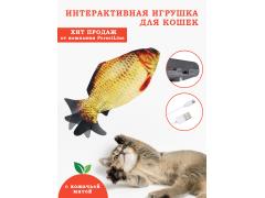 Фото 1 Интерактивные рыбки, г.Иваново 2021