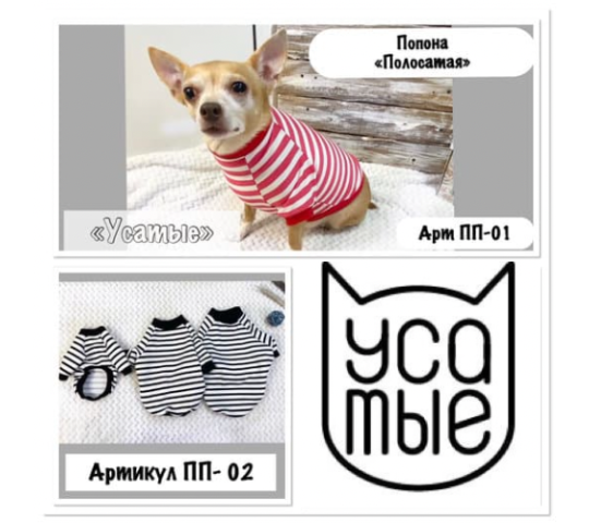 Фото 10 Лежанки для животных, одежда для собак, г.Иваново 2021