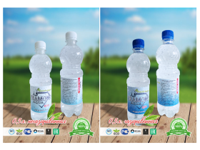 Питьевая вода ТМ «Diamond Aqua» 0,5л газ и не газ