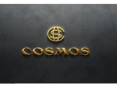 Cosmos-кожевенная мастерская