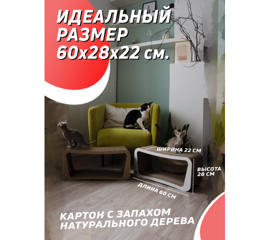 Фото 3 Когтеточка из картона + лежанка «Пан» для кошек, г.Санкт-Петербург 2022