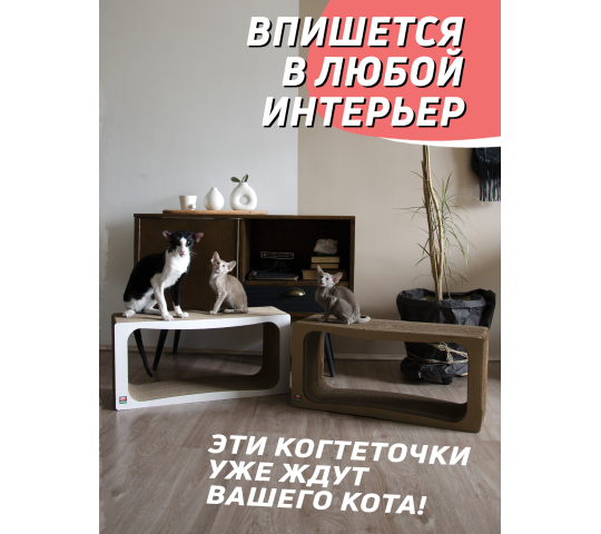 Фото 6 Когтеточка из картона + лежанка «Лонг» для кошек, г.Санкт-Петербург 2022