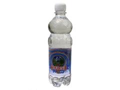 Фото 1 Природная питьевая вода «Козельская», г.Козельск 2022