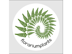 Florariumplants