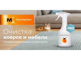 МАСТЕРХИМ Профессиональные моющие средства