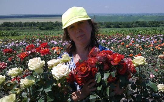 Фото 1 Саженцы бакаловидных роз, г.Домодедово 2022