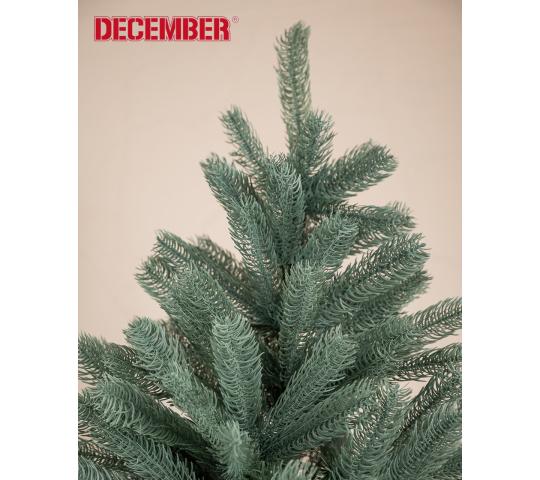 Фото опубликовано: ООО "АГАТ", ИНН 5406390209, sibeli.ru © Фото 6 НОВЕЛЛА G1 - голубая ель, г.Новосибирск 2022