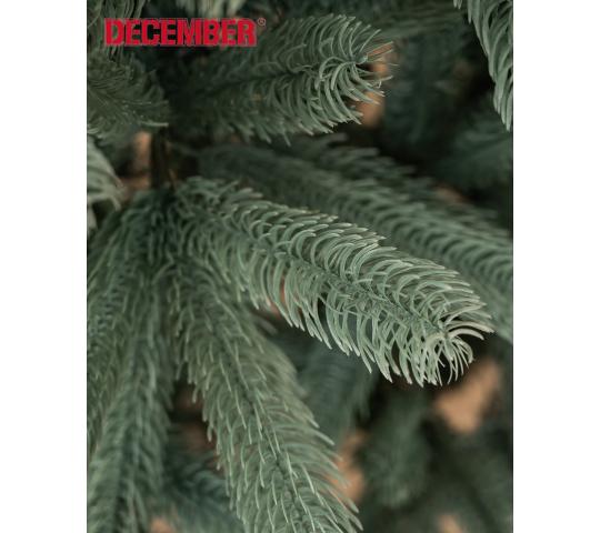 Фото опубликовано: ООО "АГАТ", ИНН 5406390209, sibeli.ru © Фото 10 НОВЕЛЛА G1 - голубая ель, г.Новосибирск 2022