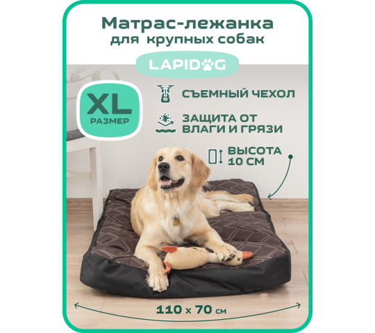 Фото 2 Матрас для собак, г.Санкт-Петербург 2023
