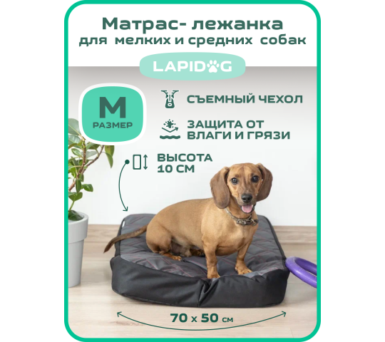 Фото 5 Матрас для собак, г.Санкт-Петербург 2023