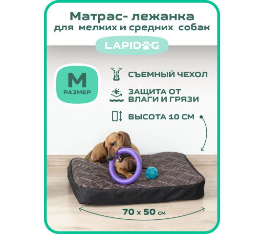 Фото 6 Матрас для собак, г.Санкт-Петербург 2023