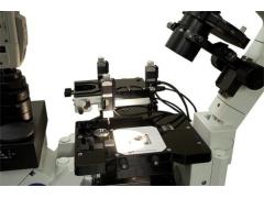 Сканирующий зондовый микроскоп Certus Optic Сканирующий зондовый микроскоп Certus Optic