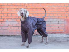Фото 1 Комбинезон-дождевик для собак средних пород, г.Москва 2023