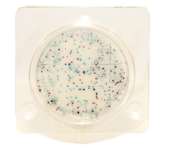 Фото 1 Микробиологические экспресс-тесты, г.Саратов 2023