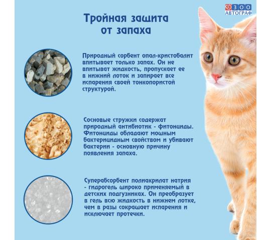 Фото 3 Кошачий чудо-горшок «Любимый кот - без хлопот!», г.Сургут 2023