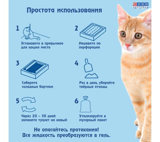Фото 6 Кошачий чудо-горшок «Любимый кот - без хлопот!», г.Сургут 2023