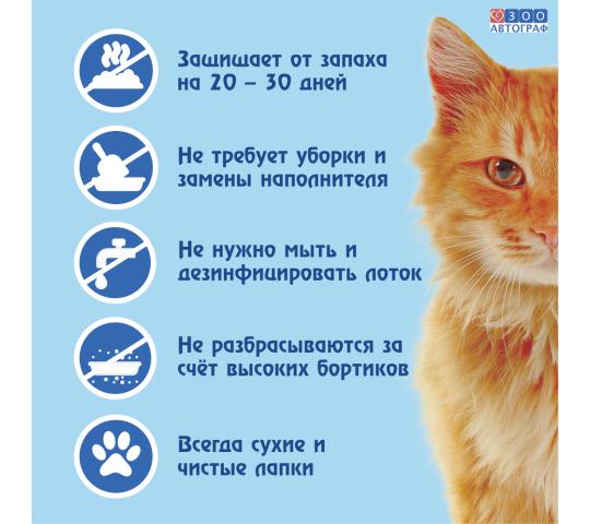 Фото 2 Кошачий чудо-горшок «Любимый кот - без хлопот!»++, г.Сургут 2023