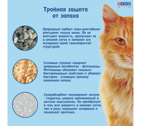 Фото 3 Кошачий чудо-горшок «Любимый кот - без хлопот!»++, г.Сургут 2023