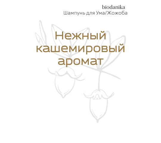 Фото 3 biodanika-shampun-dlya-uma-zhozhoba-nezhnyj-kashemirovyj-aromat 2023