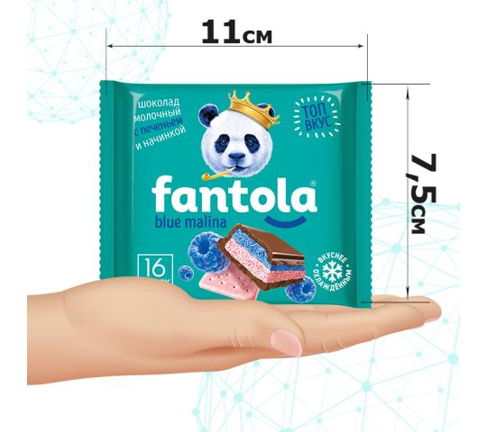 Фото 10 Шоколад молочный «FANTOLA», г.Барнаул 2023