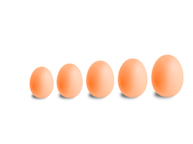 Яйцо куриное в ассортименте