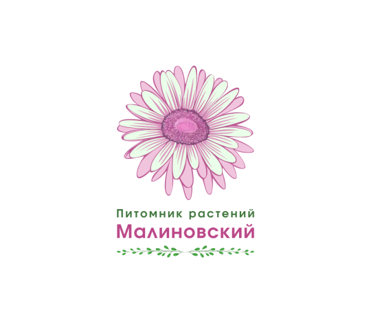 Фото №1 на стенде Питомник растений «Малиновский», г.Новосибирск. 693884 картинка из каталога «Производство России».