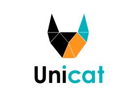Производитель спортивных товаров «Unicat»