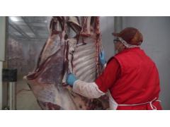 Фото 1 Мясо говядины охлажденное, г.Воскресенск 2023