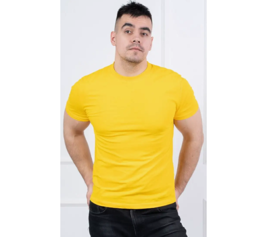 Футболка мужская Престиж от производителя Швейная фабрика «ТРИКОТАЖ ...