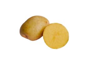 Семенной картофель «Гала»