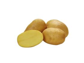 Семенной картофель «Лисана»