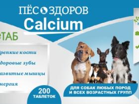 новый продукт «Пес здоров» Calcium