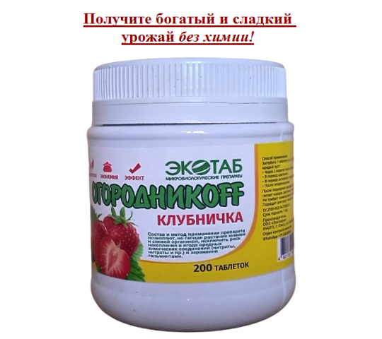 719557 картинка каталога «Производство России». Продукция огородникоff- клубничка, г.Омск 2024