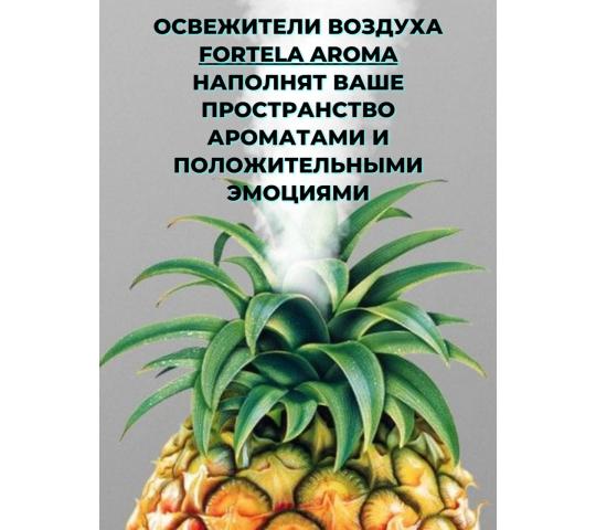 728346 картинка каталога «Производство России». Продукция Сухой туман. Освежитель воздуха Экотуман, г.Санкт-Петербург 2024