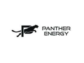 Производитель спортивных товаров «Panther energy»