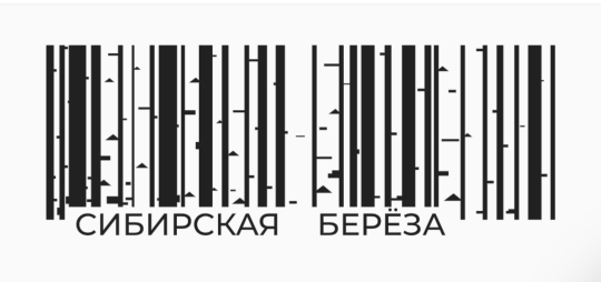 Фото №1 на стенде Производитель пиломатериалов «Сибирская береза», г.Москва. 732566 картинка из каталога «Производство России».