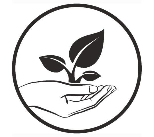 Фото опубликовано: ИП Тимофеева Елена Вячеславовна, ИНН 502478068461, фитосфера.su  ©