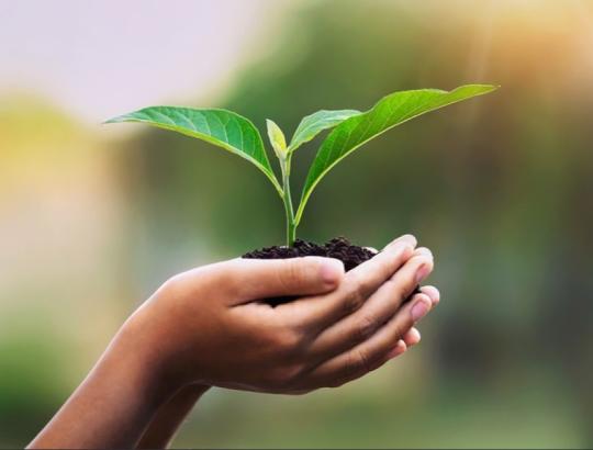 Фото 2 Производитель натуральной косметики «ФИТОСФЕРА», г.Красногорск