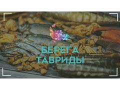 Производитель морепродуктов «Берега Тавриды»