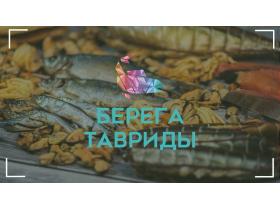 Производитель морепродуктов «Берега Тавриды»
