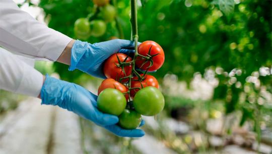 751506 картинка каталога «Производство России». Продукция Агрохимия, г.Екатеринбург 2025
